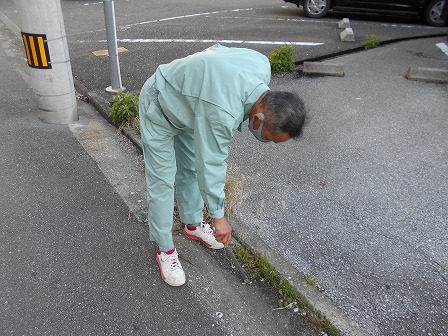 ファイル 296-2.jpg