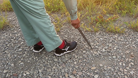 ファイル 423-1.jpg